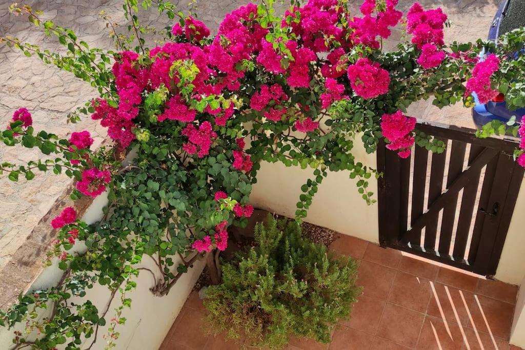 Casa Con Piscina En San Jose Sotillo Esterno foto